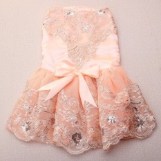 Stainless Steel Buah Anjing Peliharaan Pernikahan Tutu Dress Anak Rok Renda Putri Apparelcostumeclothes-Intl
