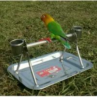 Tali Untuk Burung Kecil Parkit Lovebird Falk Perkici Perkutut
