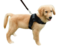 Tali Anjing Peliharaan Rompi Pengaman Yang Ditetapkan, Disesuaikan Nilon Tali Tuntun Anjing Kerah For Pelatihan Berjalan Berlari, Menolong Tanpa Tarik Baju Zirah For Were A Medium/anjing Kecil-hitam, M-Internasional