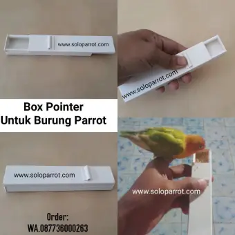 Pointer Burung Parkit Lovebird Sun Conure Irn Nuri Afgrey Kakatua
