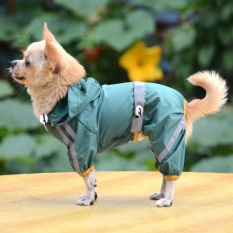 Anak Anjing Peliharaan Keren Jas Hujan Glisten Bar Hoody Tahan Terhadap Udara RainLovelyJackets Mantel Pakaian Pakaian (hijau-XS) -Intl