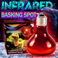 Reptil Lampu Panas Merah Bulb PET Inframerah Basking 100 W Bola Lampu Sorot Pemanas Lampu Light Red Kaca AC220V Menjaga Hangat -Intl