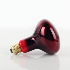 Reptil Lampu Panas Merah Bulb PET Inframerah Basking 150 W Bola Lampu Sorot Pemanas Lampu Light Red Kaca AC220V Menjaga Hangat -Intl