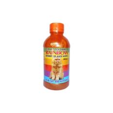 Shampoo Anti Kutu Rainbow Cat