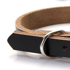 Sederhana Kulit Sapi Hewan Peliharaan Anjing Kucing Anjing Kerah Leher Buckle Adjustable
Black XS-