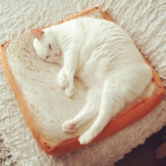 Harga preferensial Bulu Imitasi Lembut Hangat Tempat Tidur Cat Anjing Mat, Kreatif Toast Bread PET Sarang Mat Pad Bantal untuk PUPPY Anjing Kitten Kucing ...