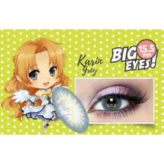 softlens X2 manga shin-karin grey (normal)