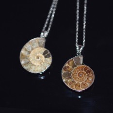Alami Kerang Trompet Fossil Berduka untuk Jatuh Ke Asli Mineral Sweater Rantai Spesimen Mineral Pria dan Wanita Dekorasi Alami Asli batu Kalung-Intl