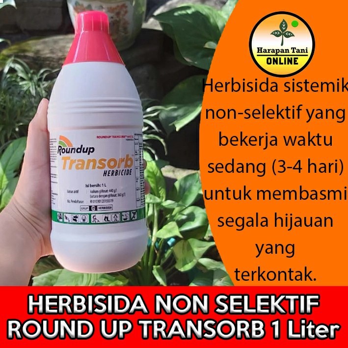 Round Up Transorb 1L Herbisida Sistemik Non Selektif Gulma Daun