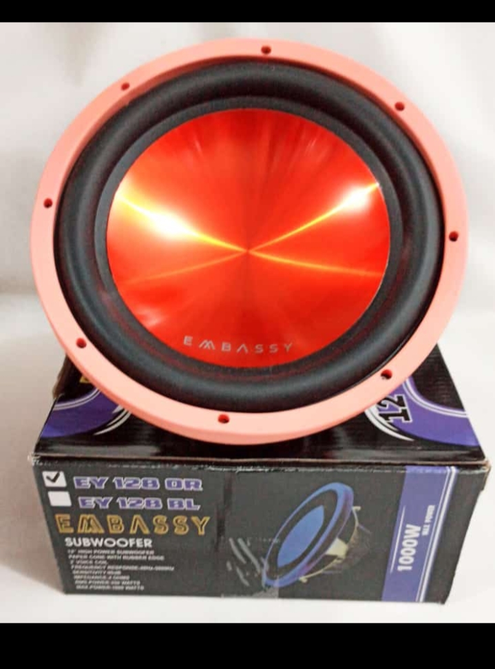 roadmaster 8 inch subwoofer rsw 80