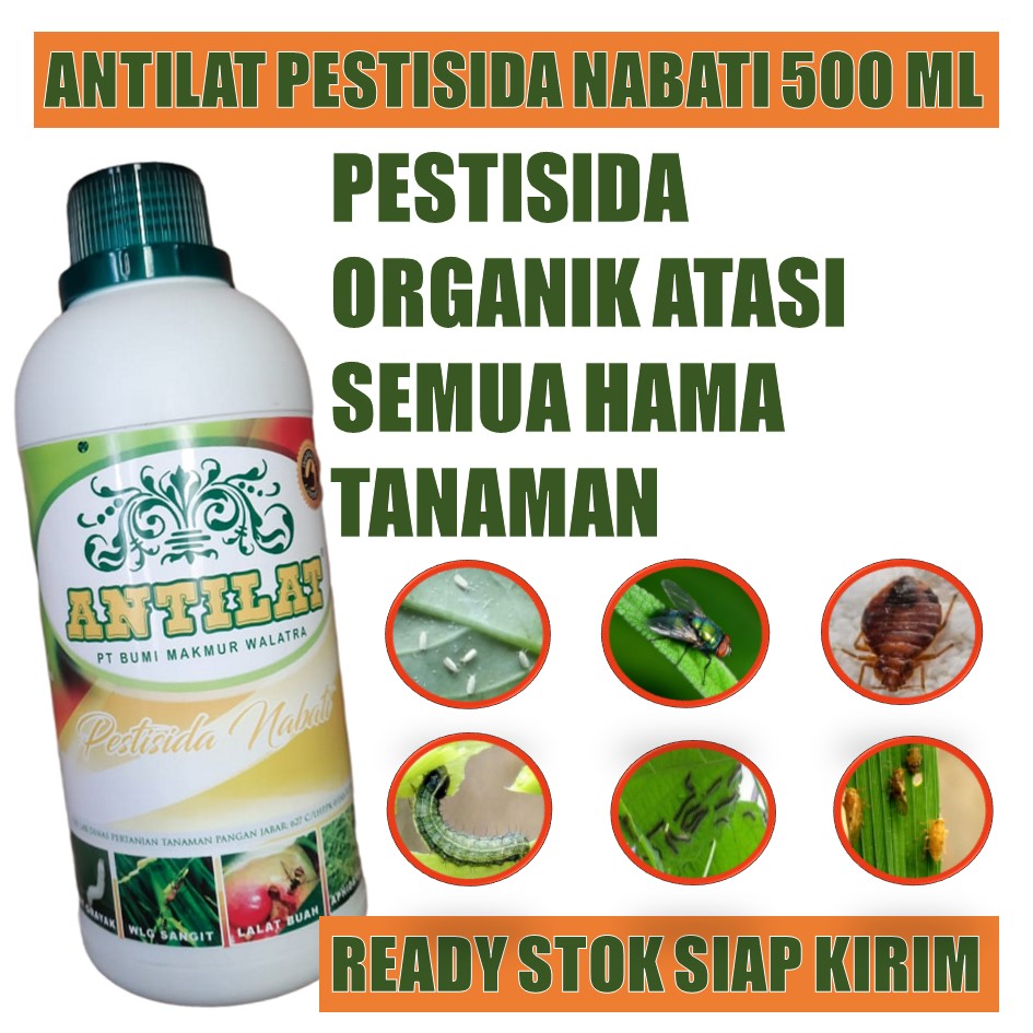 INSEKTISIDA ANTILAT PESTISIDA NABATI OBAT HAMA SEMUA JENIS TANAMAN ...