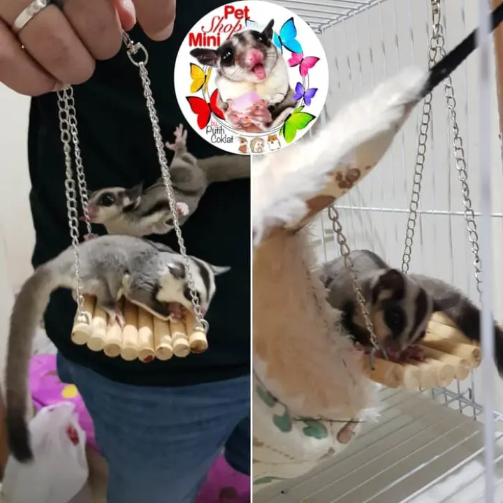 Termurah Mainan Sugar Glider Hamster Tupai Landak Ayunan Swing Hiasan Kandang Sedia Juga Kincir Roda Hamster Kincir Mainan Hamster Kincir Hamster Murah Lazada Indonesia