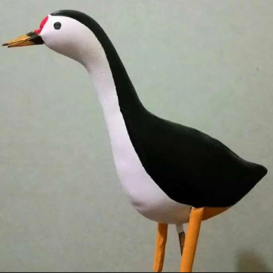 530+ Sketsa Gambar Burung Ruak Ruak HD Terbaik