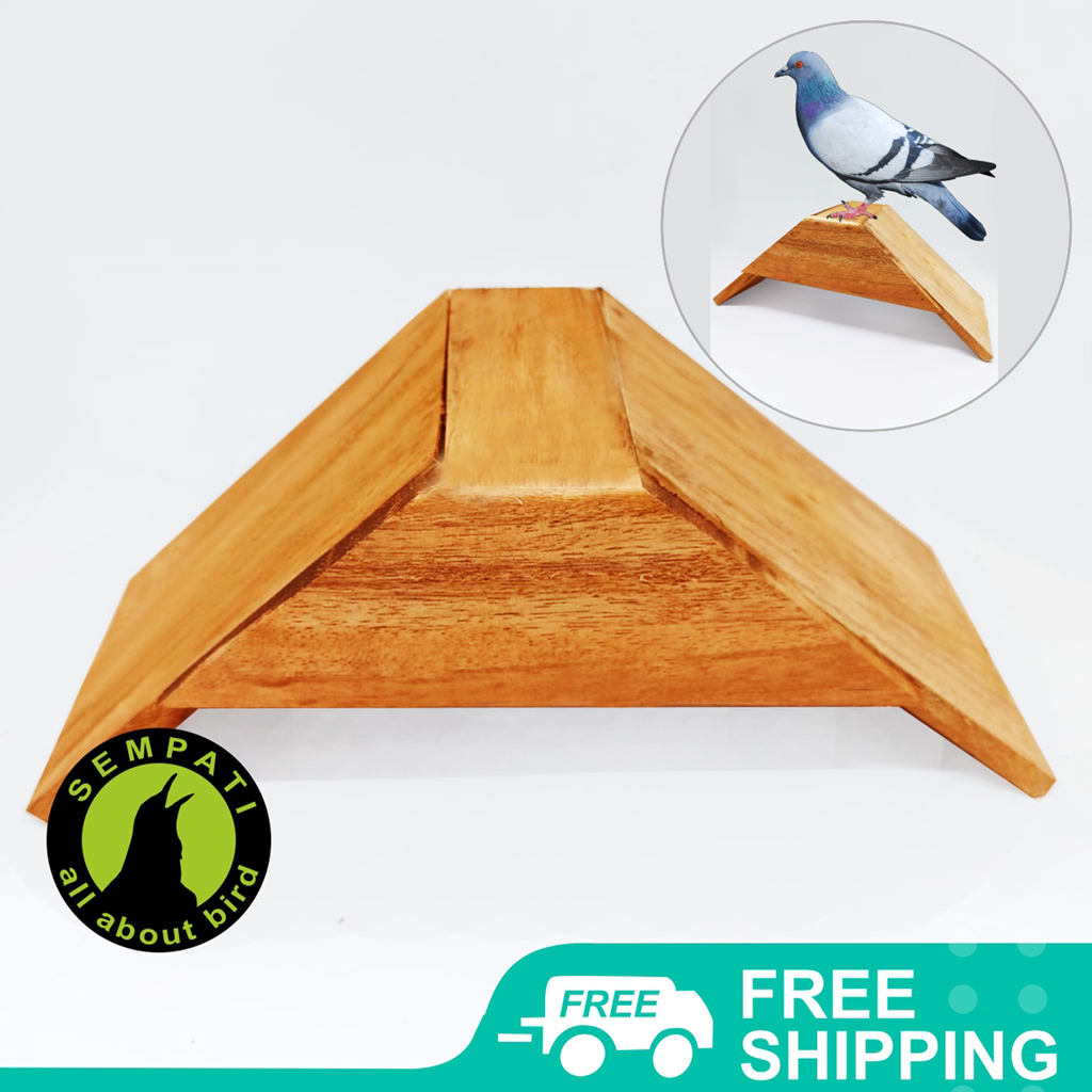 SEMPATI Tangkringan Merpati Pos Tenggeran Kayu Mahoni Tangkringan Burung Merpati Pos Koloni Umbaran Burung Dara Perkutut Lovebird V Perches TKMRPS Lazada Indonesia