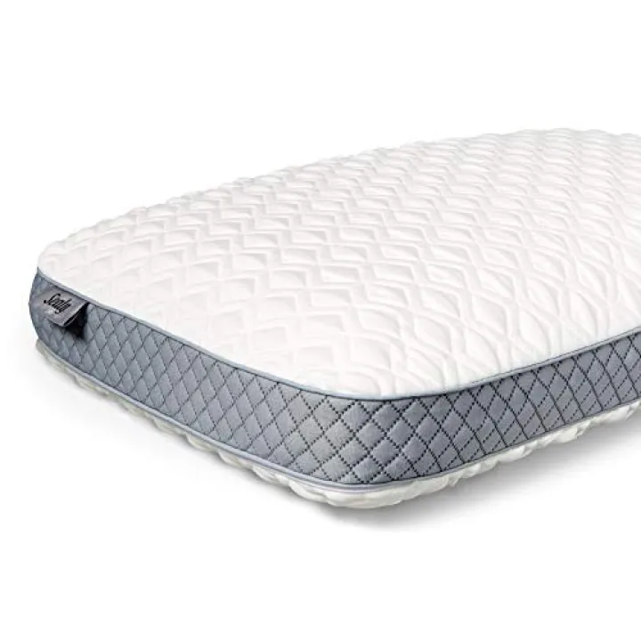 Sealy Molded Memory Foam Pillow 