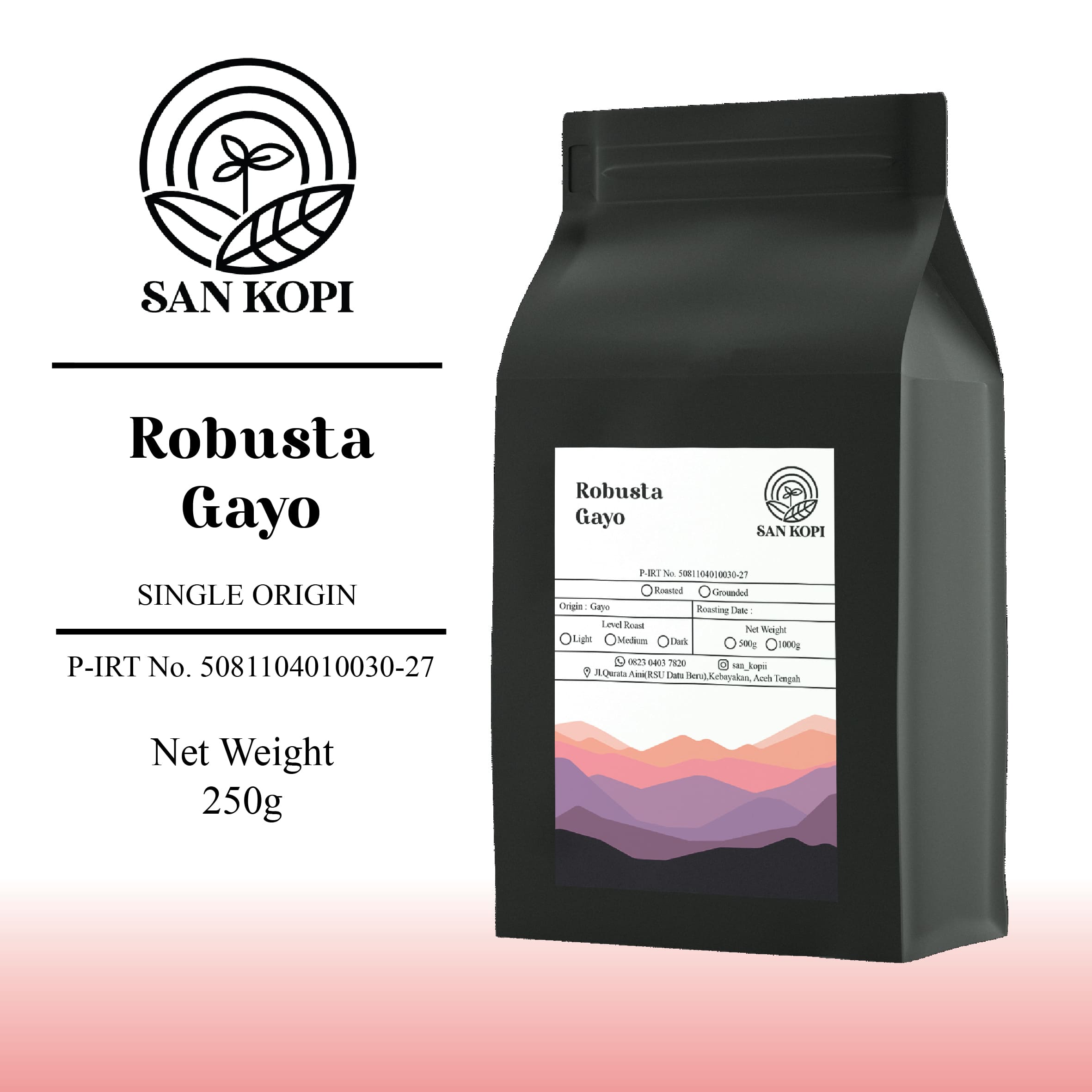 コーヒー ROBUSTA GAYO コーヒー ROBUSTA GAYO coffee Robusta Gayo