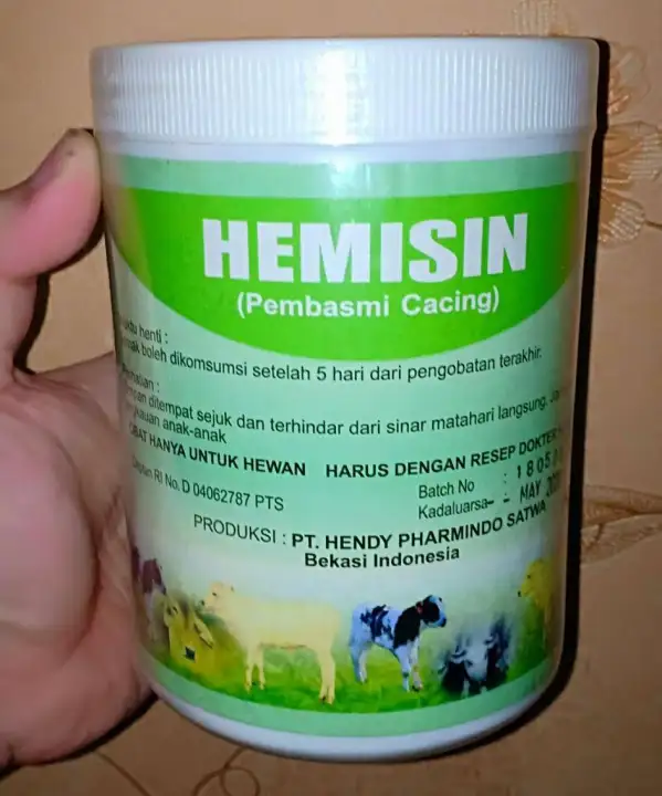 85+ Gambar Hewan Ternak Unggas HD Terbaru