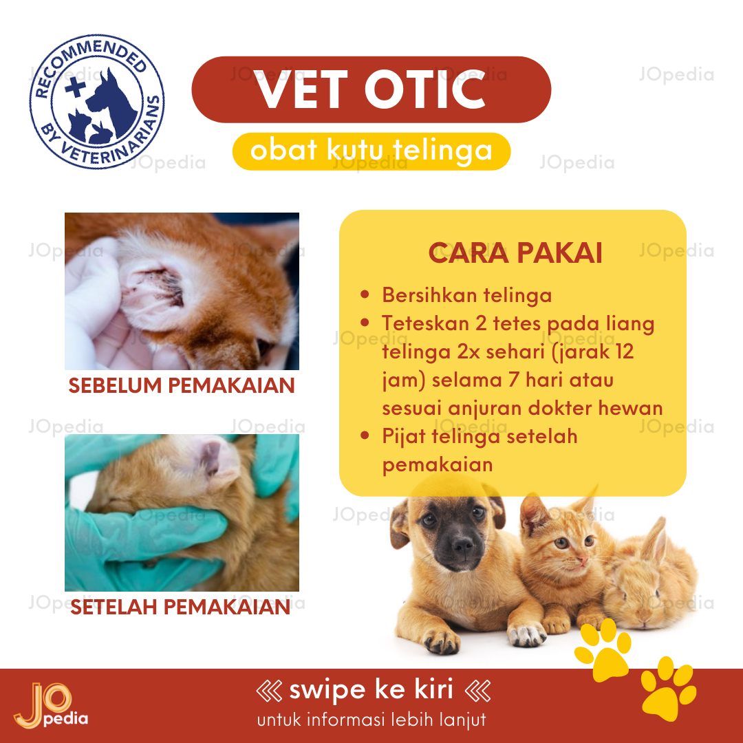 Cara Veterinary ROYAL CANIN Feline Adult Kg Makanan Kucing VET