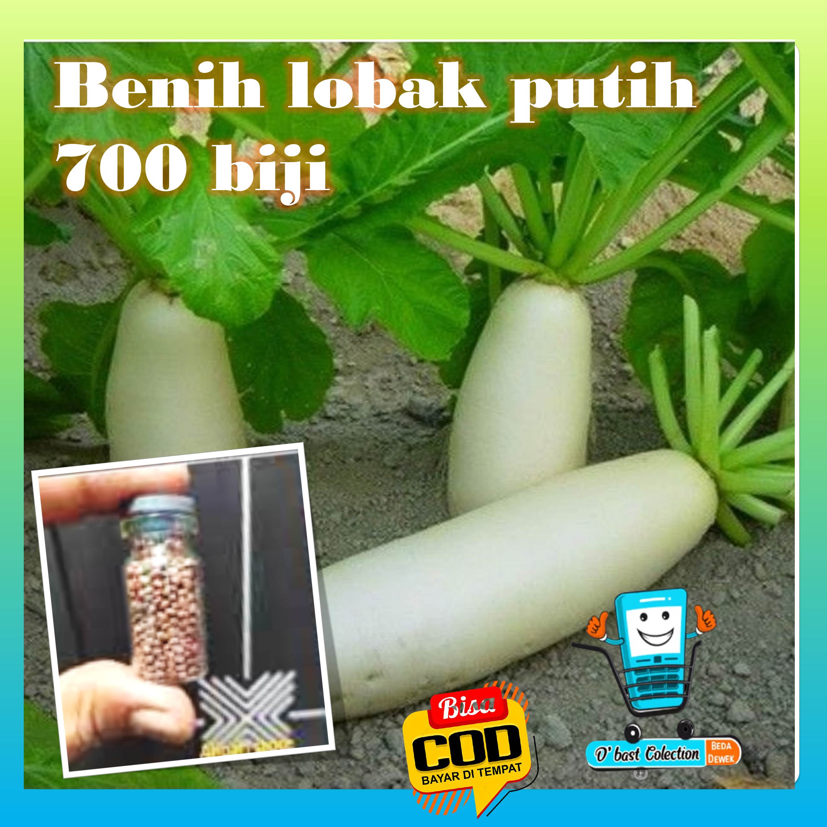 Jual Benih Lobak Putih 700 Butir Murah Lazada Indonesia