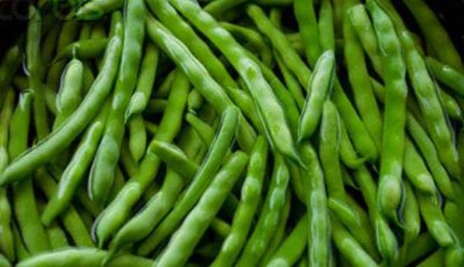 Amefurashi 50 Bibit Benih Sayur Buncis Bean Vegetable Seed Cocok di Tempat Panas