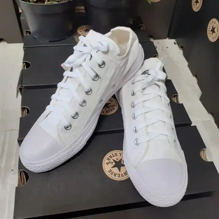 taylor sneaker