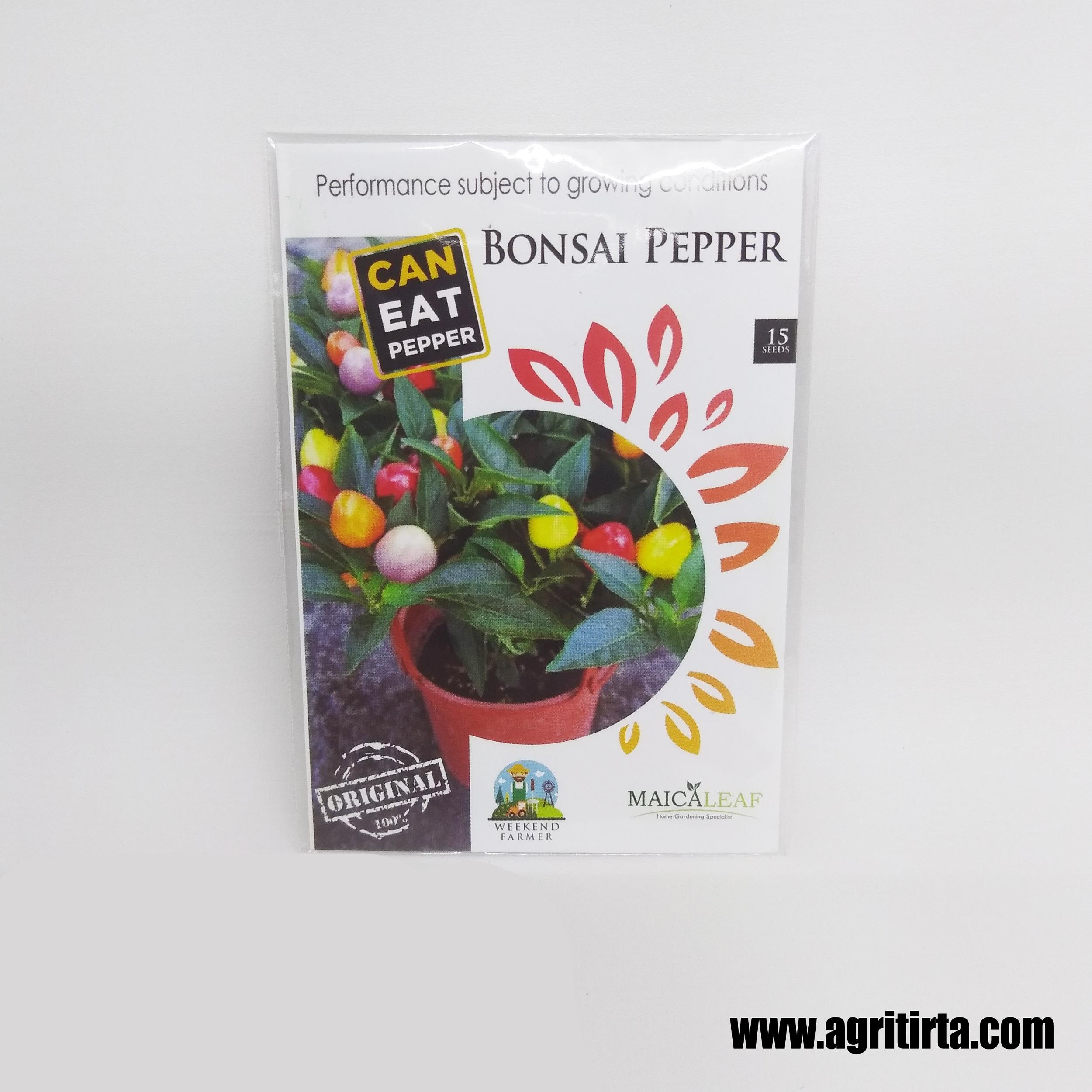 BENIH BIBIT BIJI CABE CABAI HIAS UNIK PELANGI BONSAI PEPPER MAICA LEAF