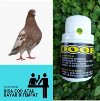 Isi 250 Butir 1 Milyar Jamu Merpati Balap Jamu Merpati Tinggi