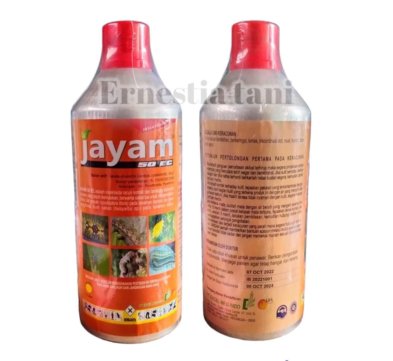 Prezervativ yoq, porno bor.