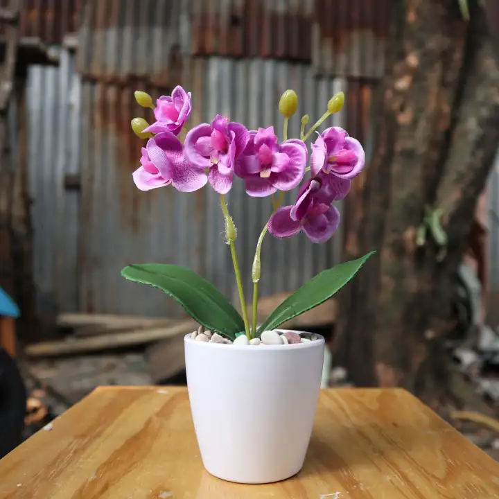 Asy4m Bunga Hiasan Artificial Tanaman Dekorasi Rumah Pajangan Rumah Unik Bunga Anggrek Vas Bulat Lazada Indonesia