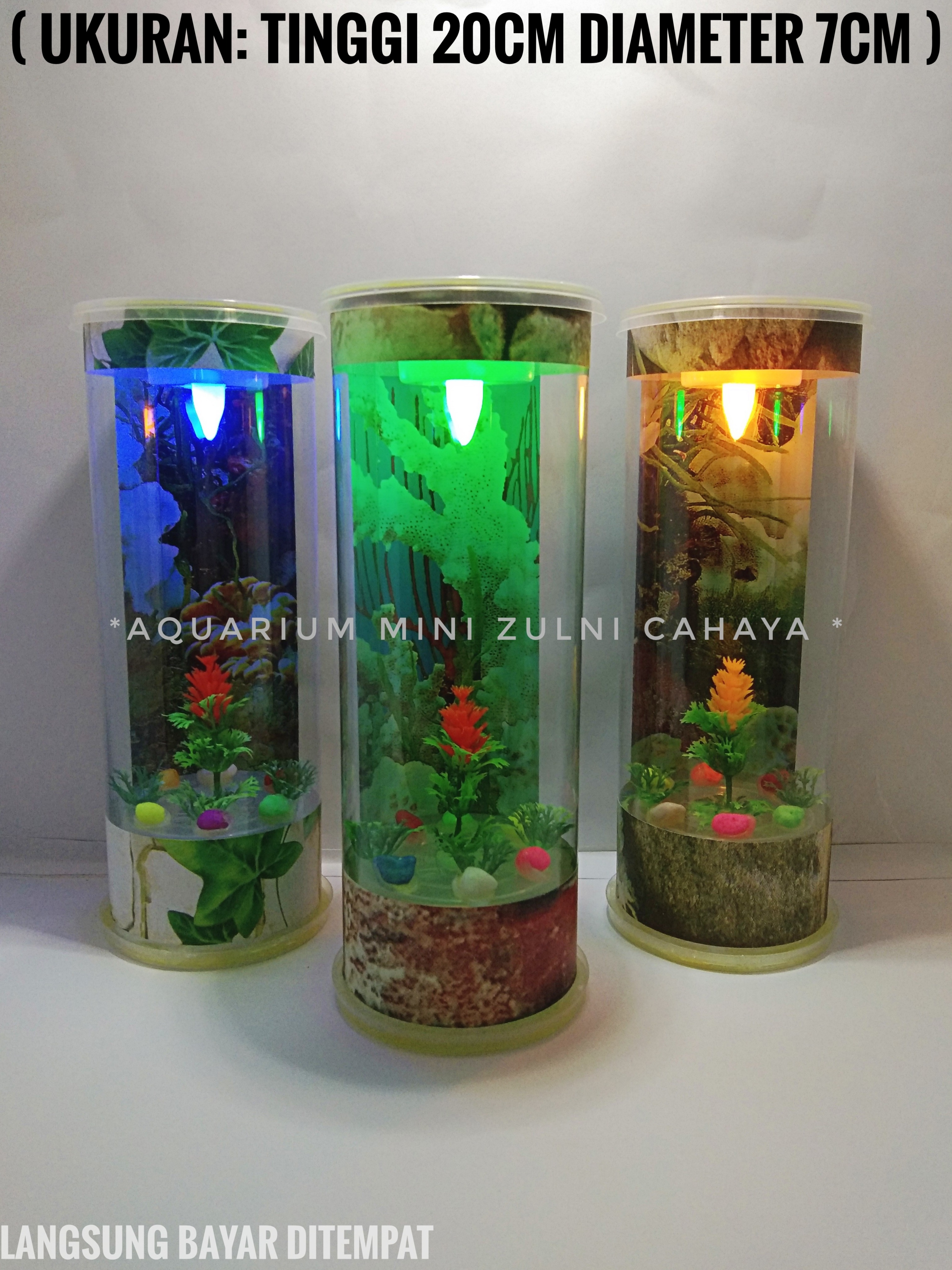 Aquarium Mini Mika Murah Lazada Indonesia