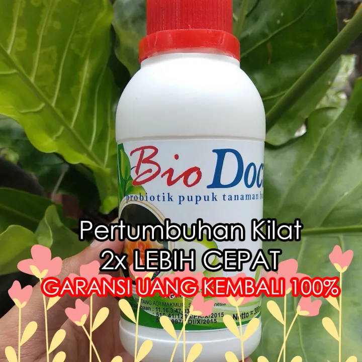 2x Lebih Cepat Pupuk Khusus Aglonema Pupuk Penyubur Daun Aglonema Pupuk Perangsang Tunas Aglonema Pupuk Aglonema