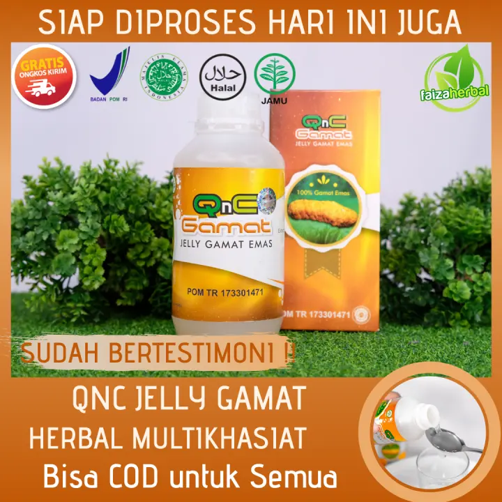 Obat Herbal Untuk Penyakit Stroke Stroke Ringan Stroke Berat Stroke Di Wajah Dan Tangan Srtuk Strok