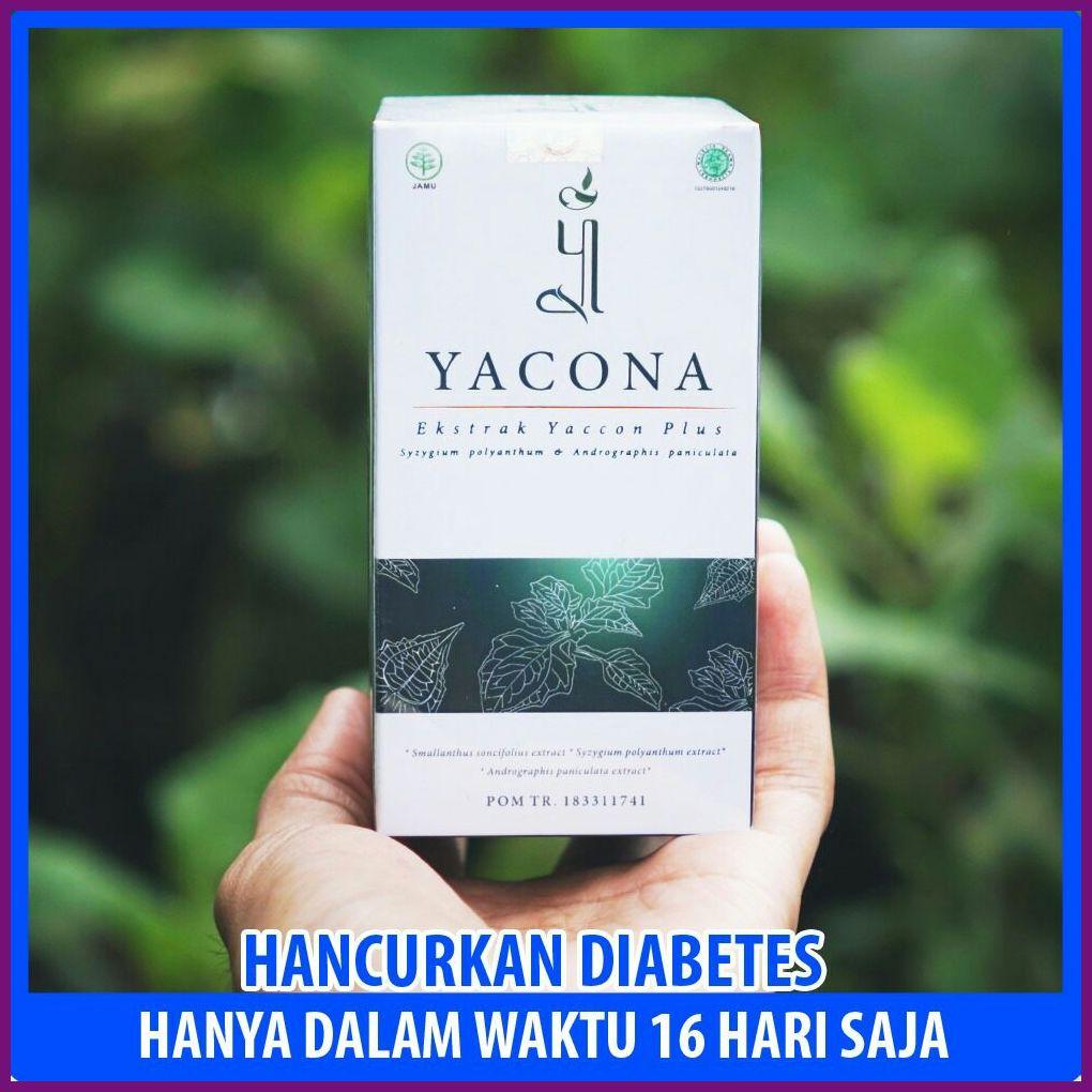 sambiloto obat diabetes kolagit sambiloto obat diabetes kolagit