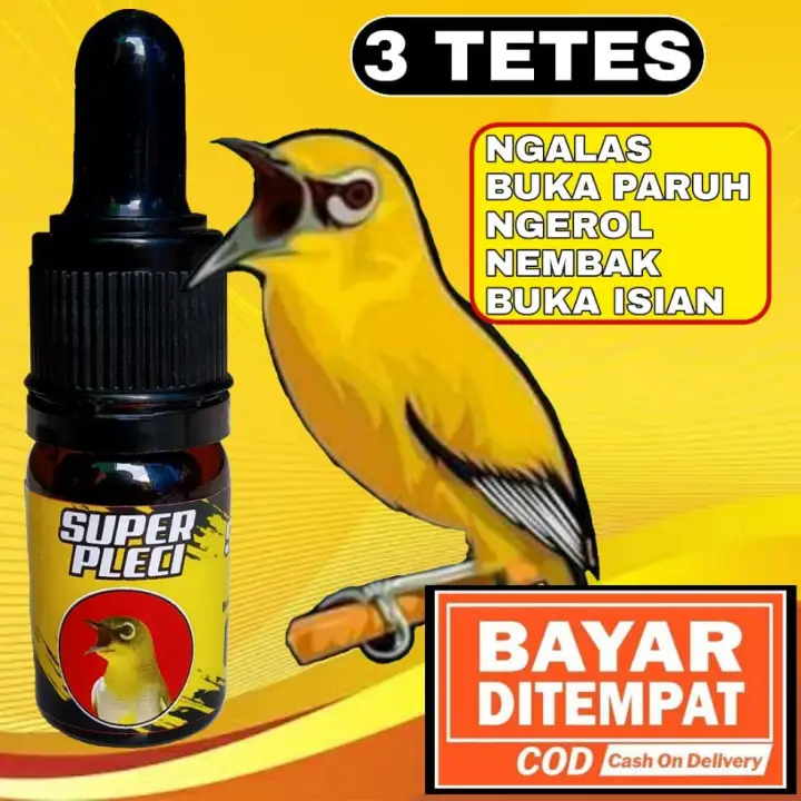 Super Pleci Penggacor Khusus Burung Pleci Cepat Gacor Buka Paruh Lazada Indonesia