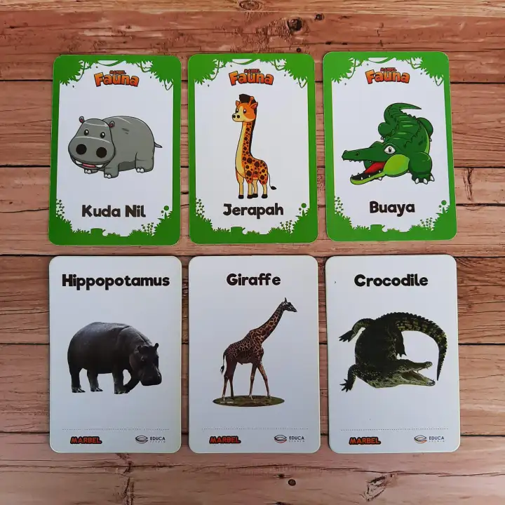 Marbel Flashcard Fauna Belajar Nama Hewan Bahasa Inggris