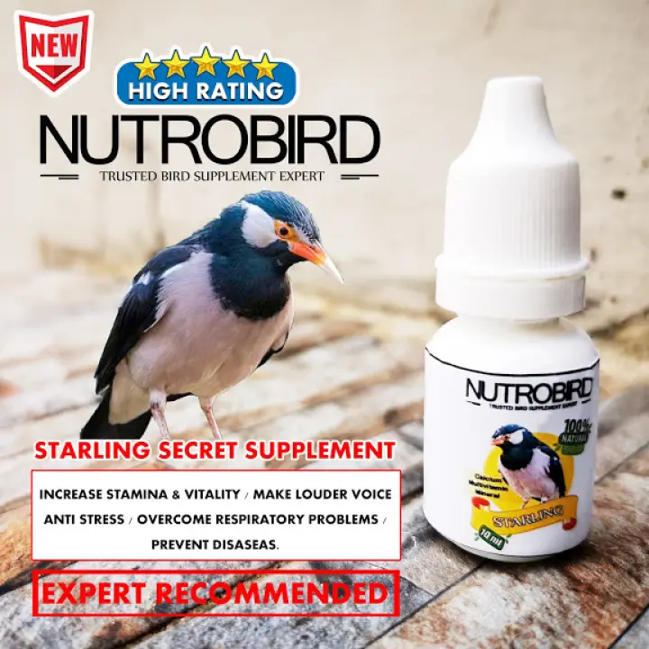 Jual Tonic Vitamin Burung Import Khusus Lomba Untuk Semua Burung Kota Yogyakarta Gerai Import Jogja Tokopedia