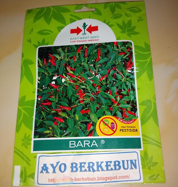 TERLARIS benih / biji / bibit cabe rawit bara cap panah merah - bzlxjKDm