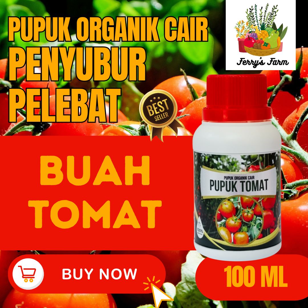 Pupuk Tanaman Tomat Pupuk Booster Buah Tomat Pupuk Organik Pelebat Buah Tomat Ukuran Ml