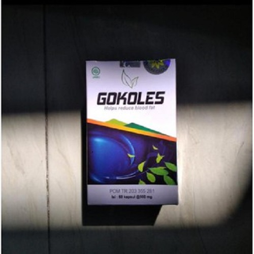 Obat Gokoles Ampuh Untuk Obat Kolesterol Lazada Indonesia