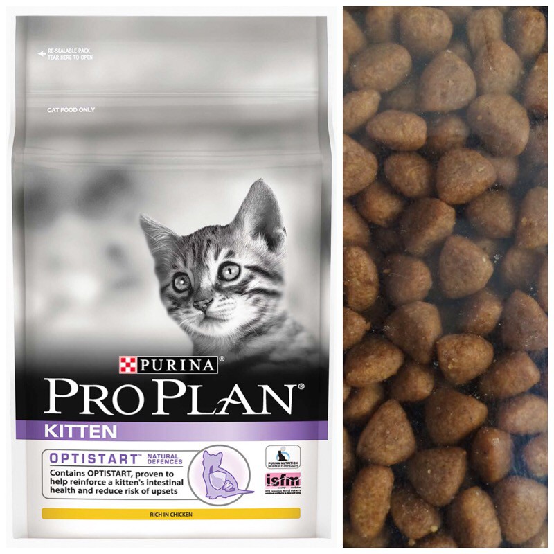 pro plan junior cat food