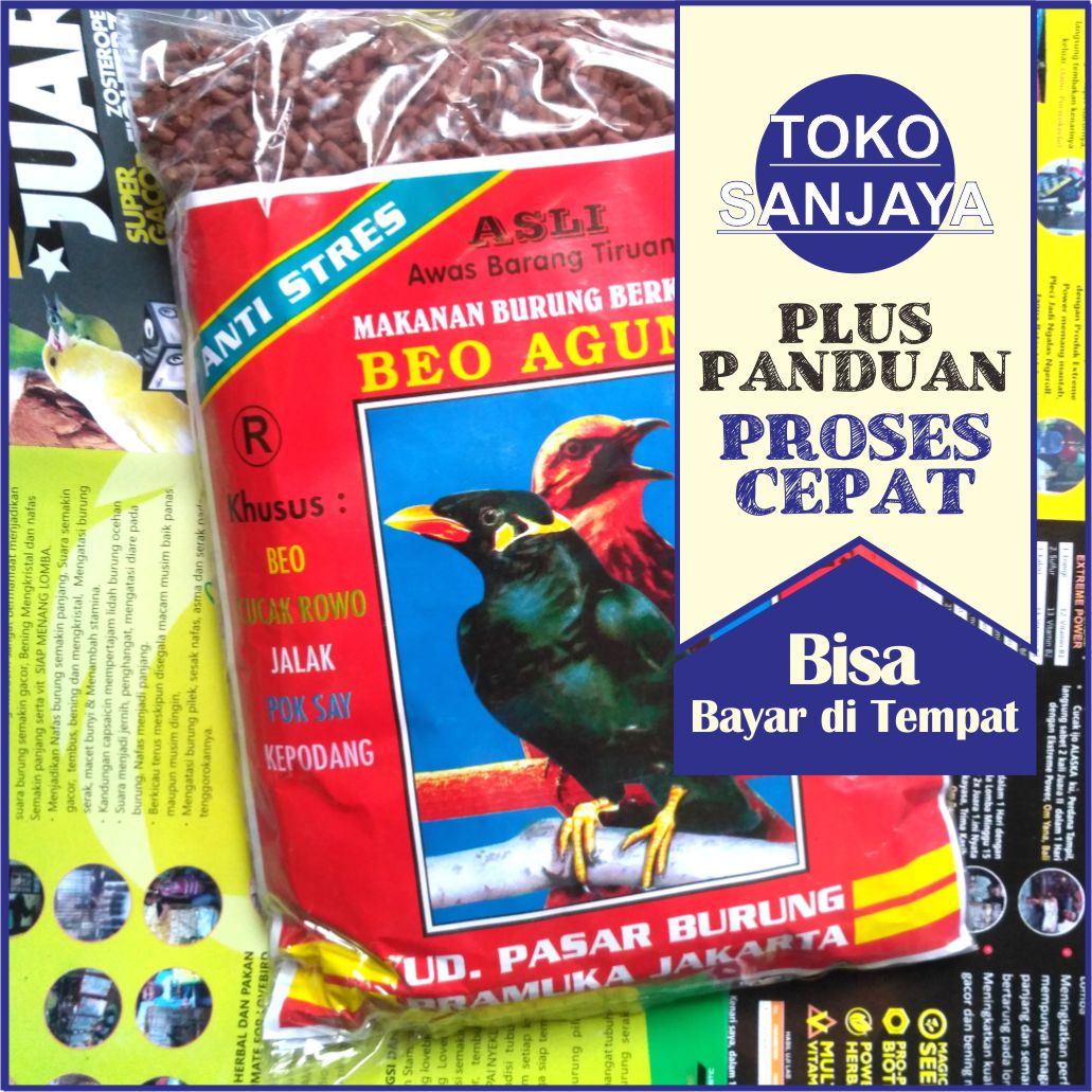 Beo Agung Pakan Burung Beo Khusus Pakan Beo Kesukaan Lazada Indonesia