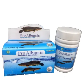 Ash Shihah Pro Albumin Ekstrak Ikan Gabus 50 Kapsul Lazada Indonesia