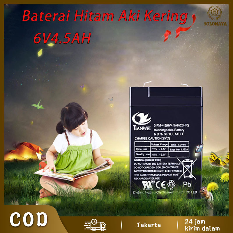 EELIC AKI-6V4AH HITAM AKI KERING 6 Volt,4,5 AH UNTUK MENYUPLAI ARUS