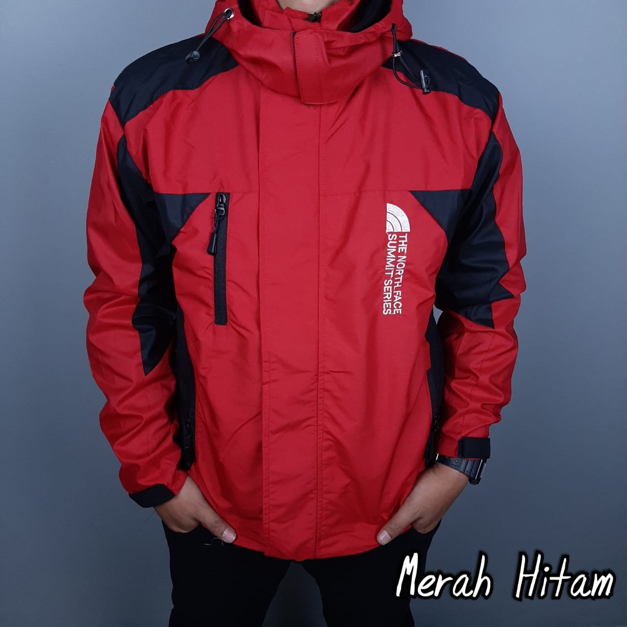 Jaket musim dingin store north face