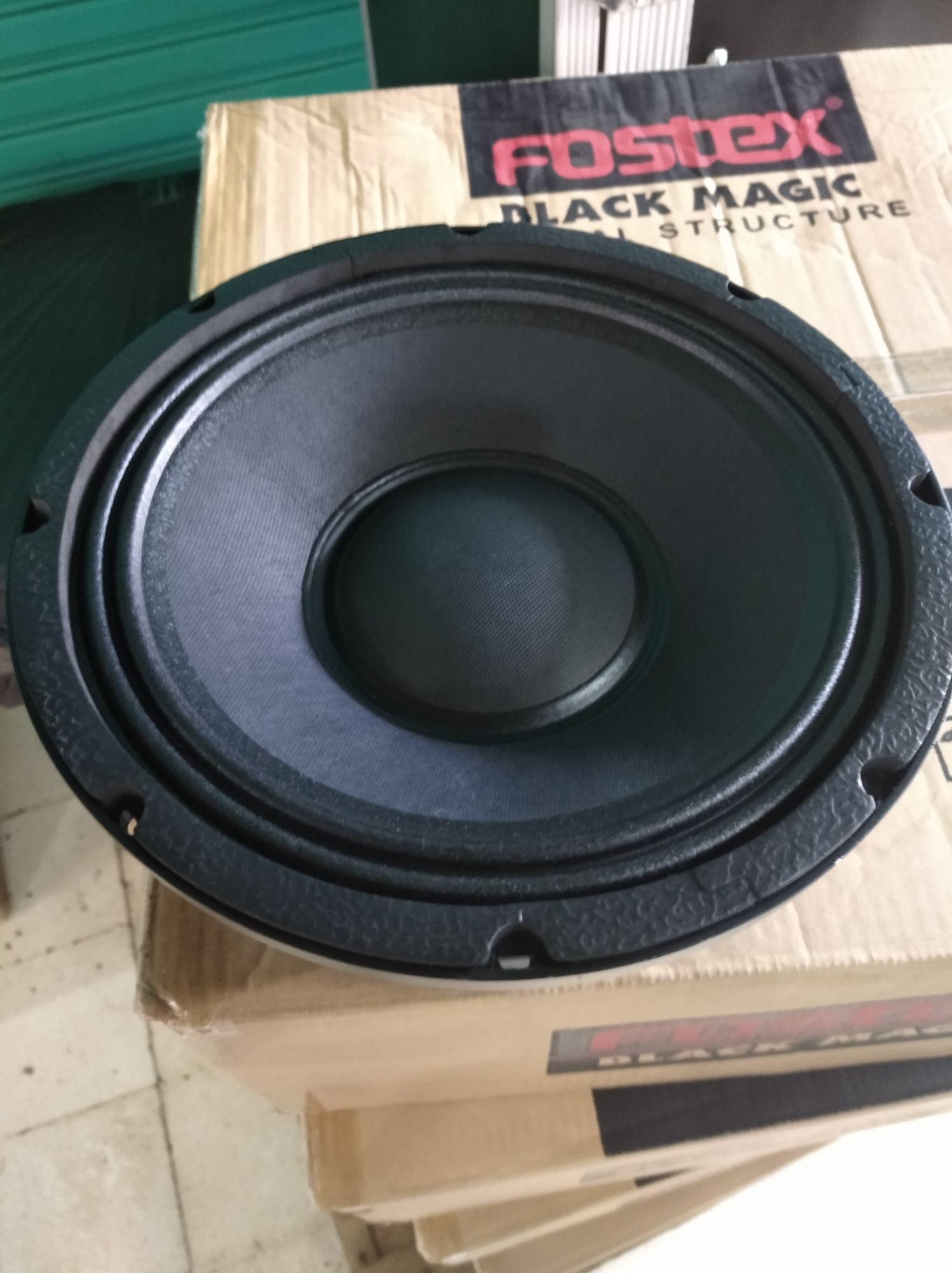 speaker fostex 10 inch