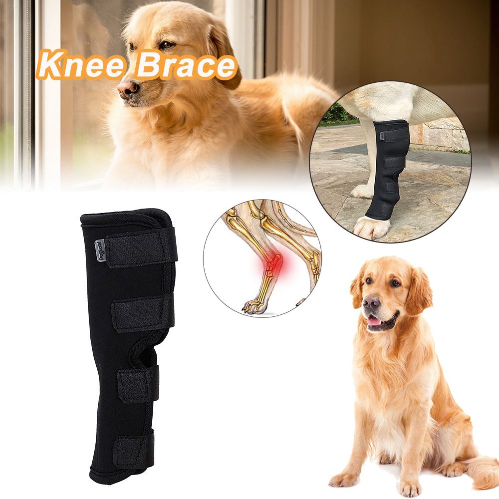 SMAZAD สำหรับผ่าตัดได้รับบาดเจ็บ Joint Wrap สุนัขเครื่องป้องกันขาสุนัขรั้งการกู้คืนขาสัตว์เลี้ยงเข่า Pads สุนัขที่ป้องกันข้อมือลูกสุนัข Kneepad อุปกรณ์สุนัข