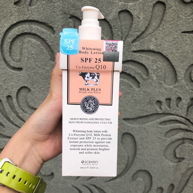 night body lotion scentio