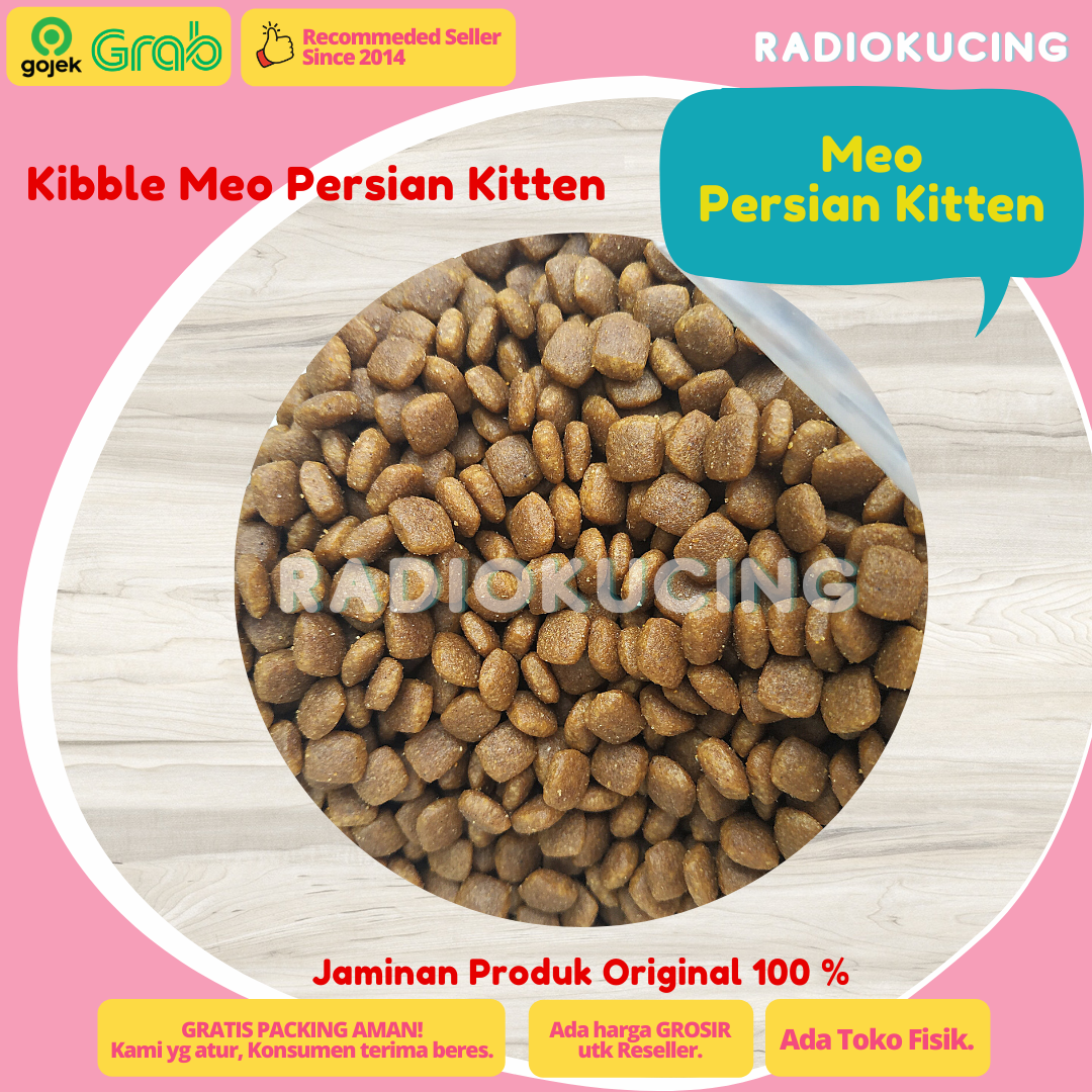 kibble meo persian