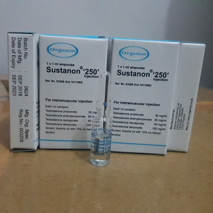 Big Sale Sustanon Organon Sustanon 250 Lazada Indonesia