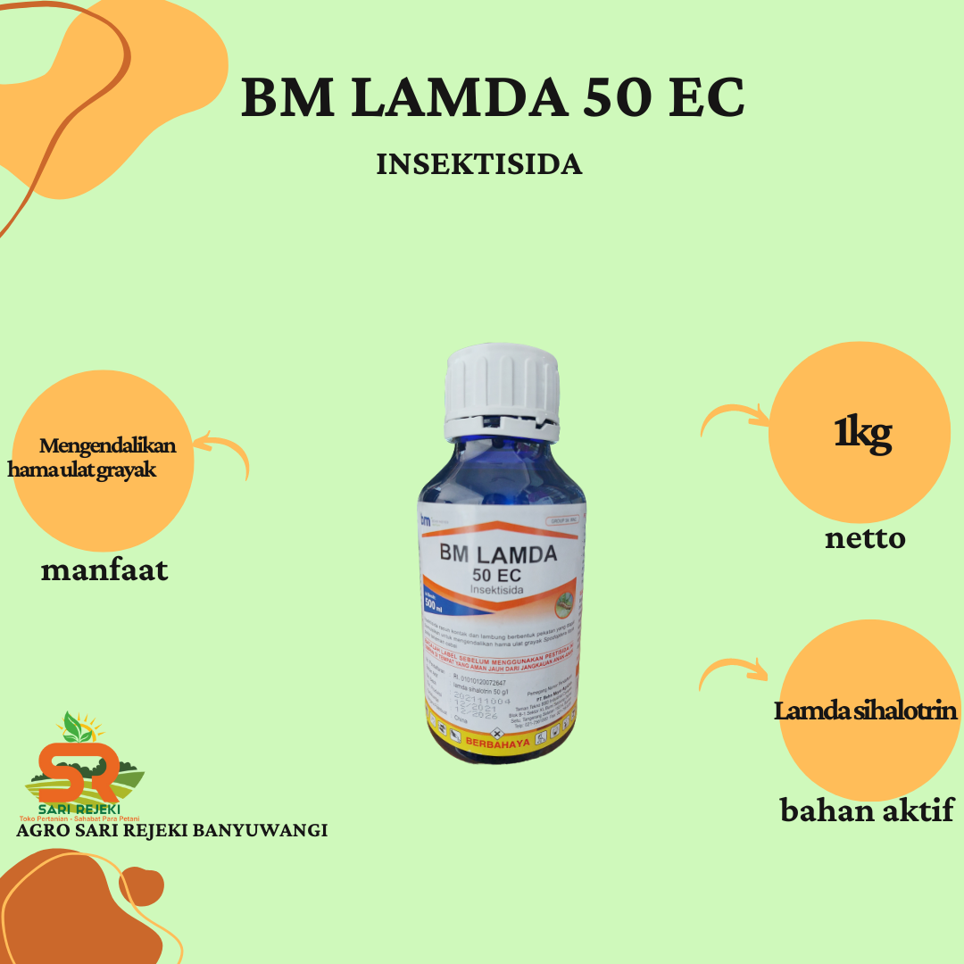 Kummingni baland ovozda tomosha qiling